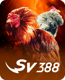 AWC_COCK