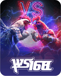 WS168_Cockfight